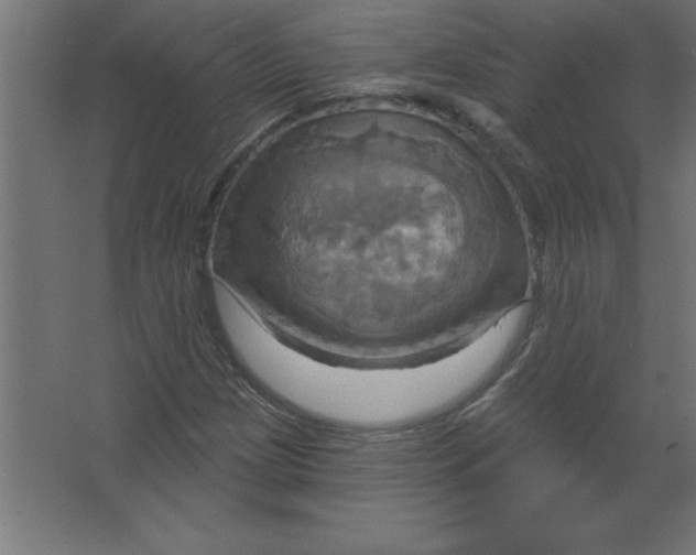 X0000067351209200604211953