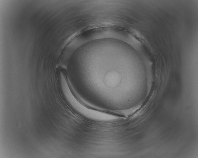 X0000067351210200604211953