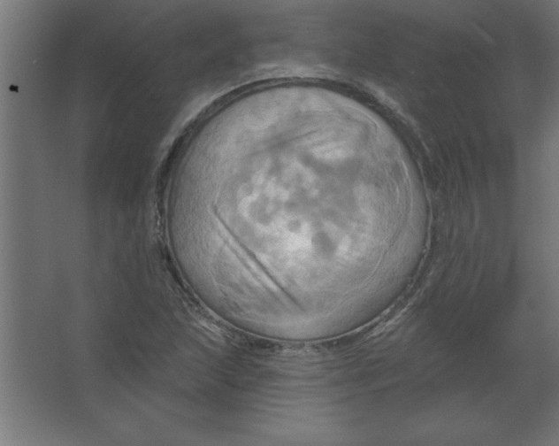 X0000067351215200604211953