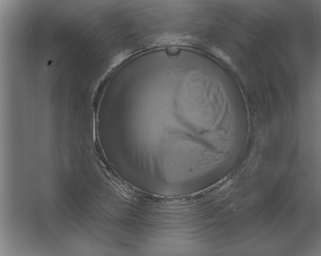 X0000067351219200604211953