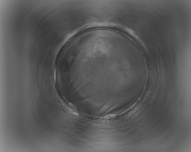 X0000067351221200604211953