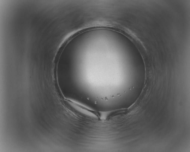 X0000067351222200604211953