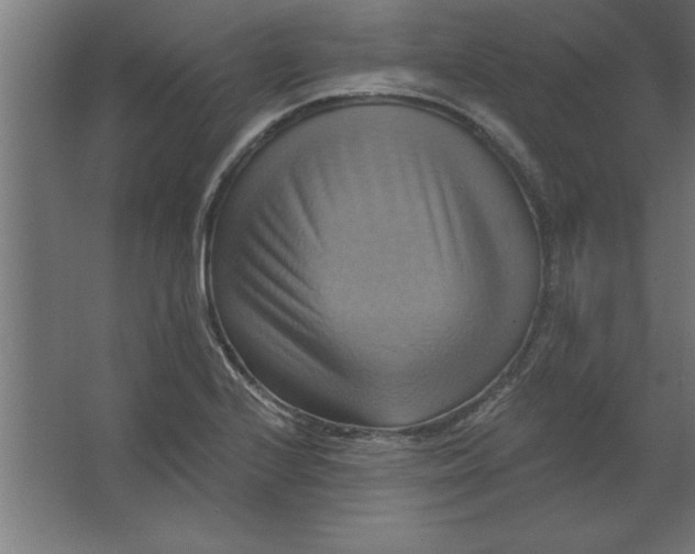 X0000067351224200604211953