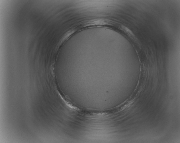 X0000067351225200604211953