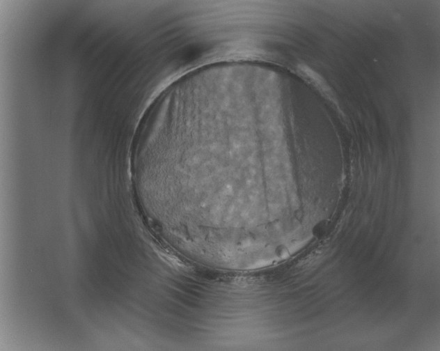 X0000067351226200604211953