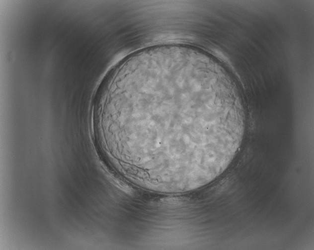 X0000067351227200604211953