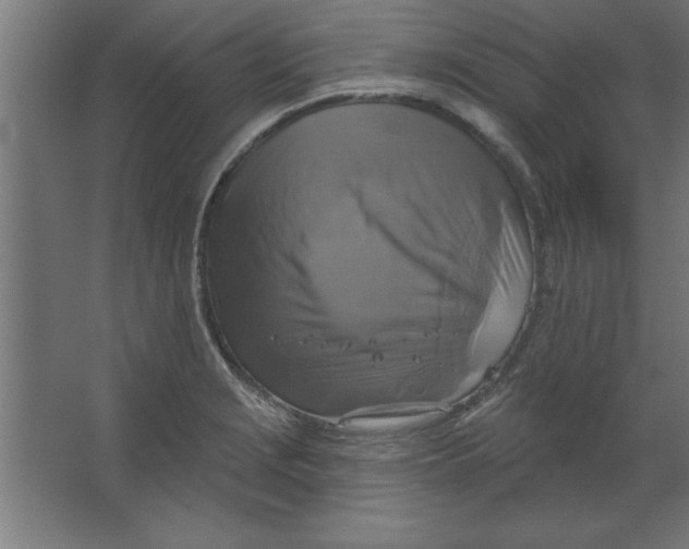 X0000067351229200604211953