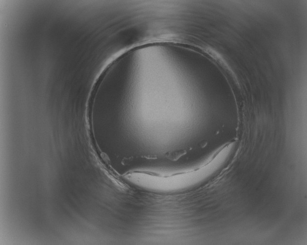 X0000067351230200604211953