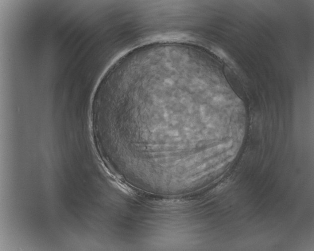 X0000067351232200604211953