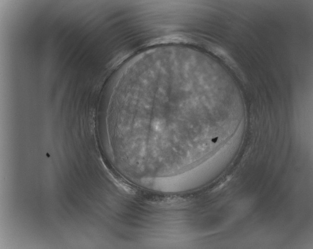 X0000067351233200604211953