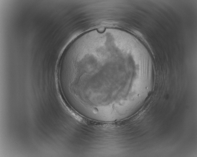 X0000067351235200604211953