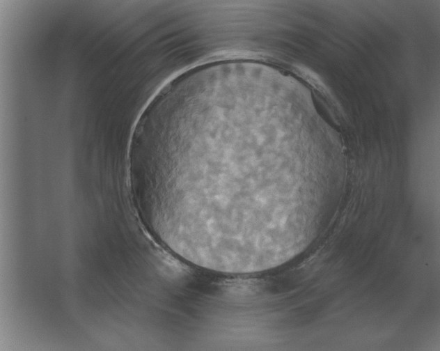 X0000067351236200604211953