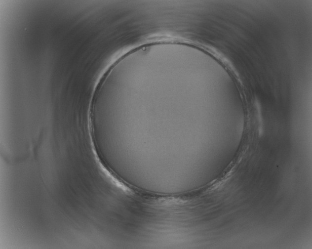 X0000067351239200604211953