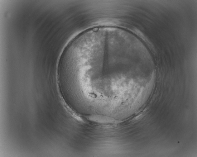 X0000067351240200604211953