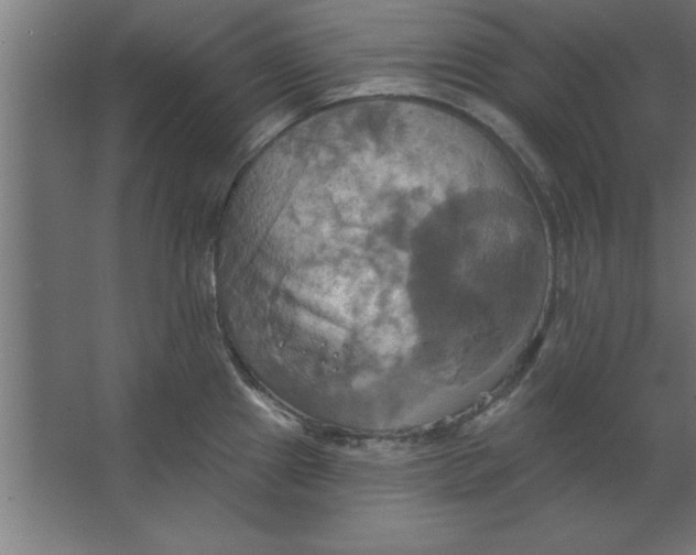 X0000067351241200604211953