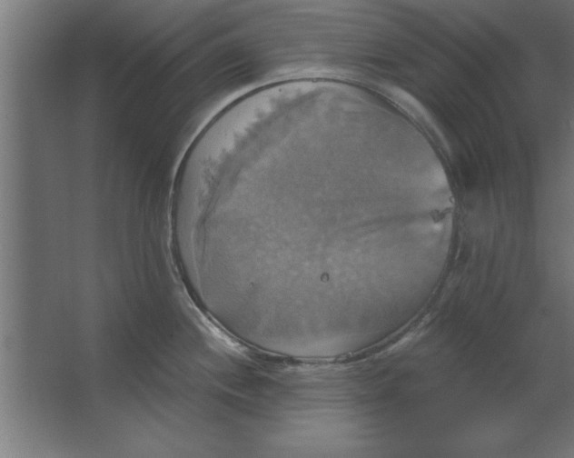 X0000067351244200604211953