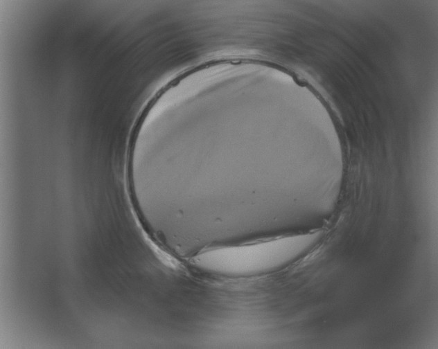 X0000067351245200604211953