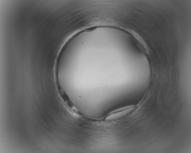 X0000067351246200604211953