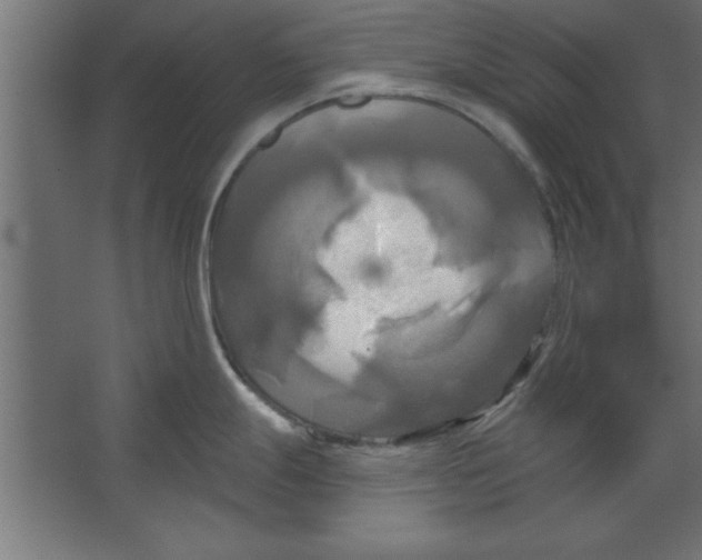 X0000067351247200604211953