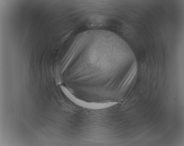 X0000067351250200604211952