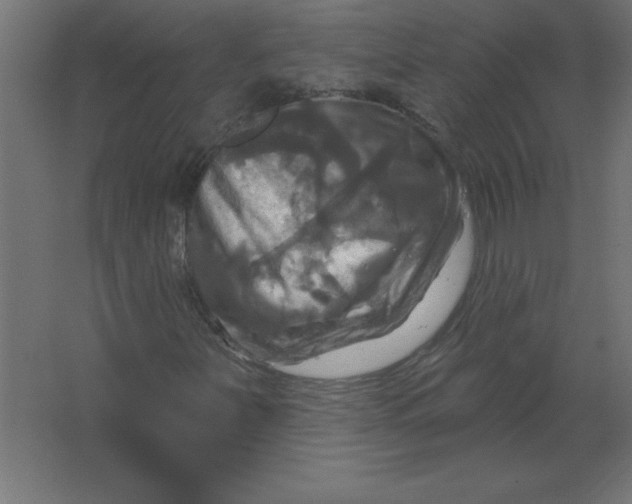 X0000067351251200604211952