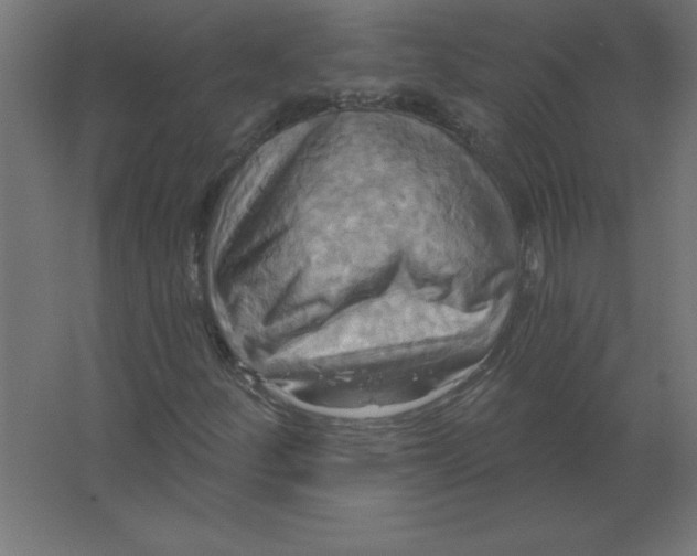 X0000067351252200604211952