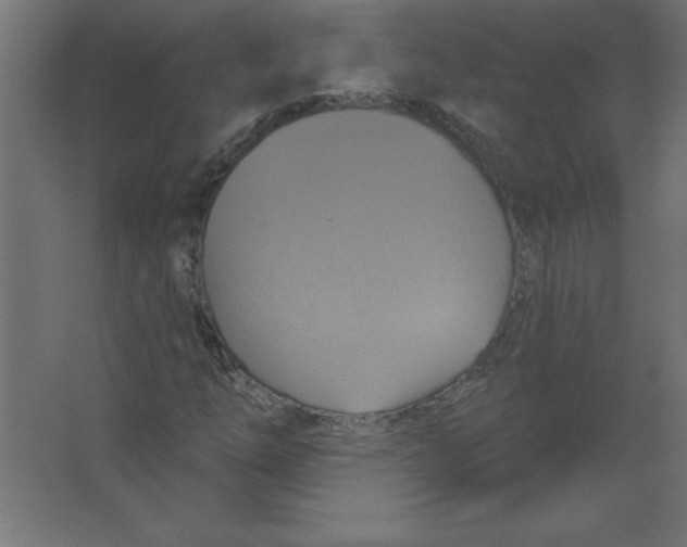 X0000067351254200604211952