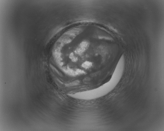 X0000067351255200604211952