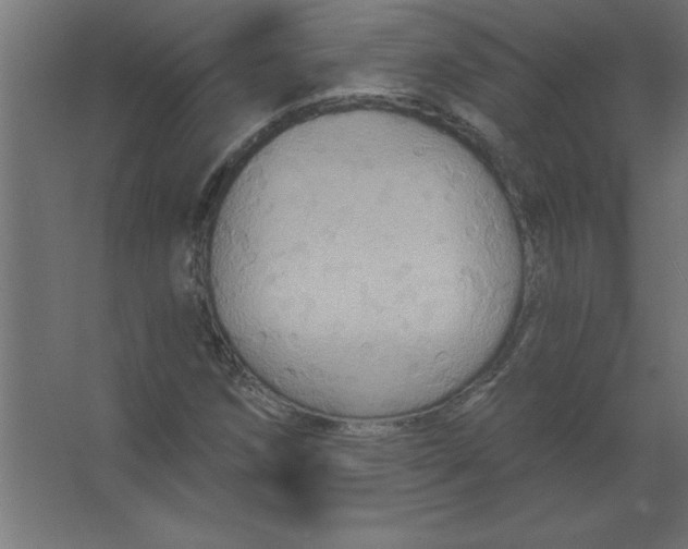 X0000067351258200604211952