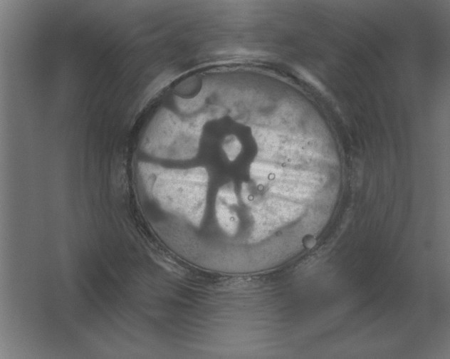 X0000067351259200604211952