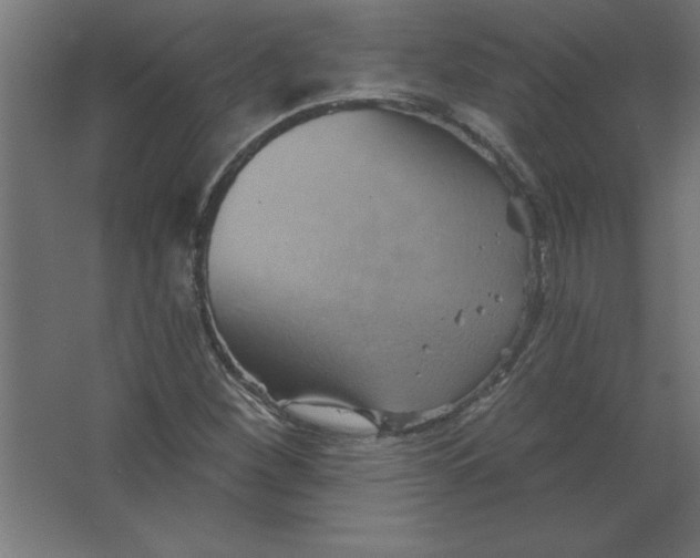 X0000067351260200604211952