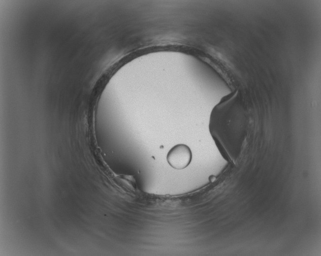 X0000067351261200604211952