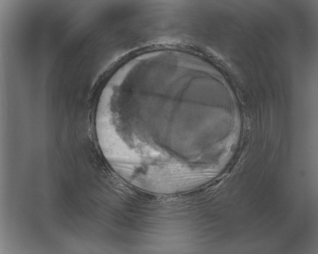 X0000067351262200604211952