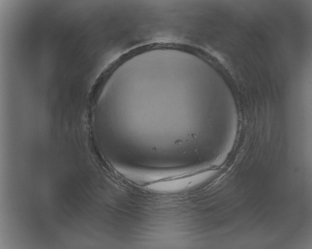 X0000067351263200604211952