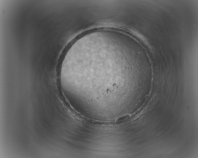 X0000067351264200604211952