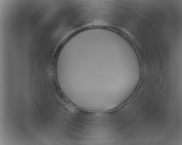 X0000067351266200604211952