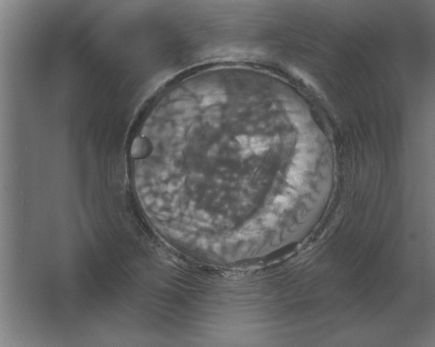 X0000067351267200604211952