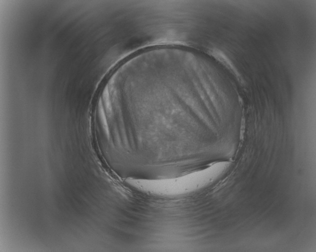 X0000067351268200604211952