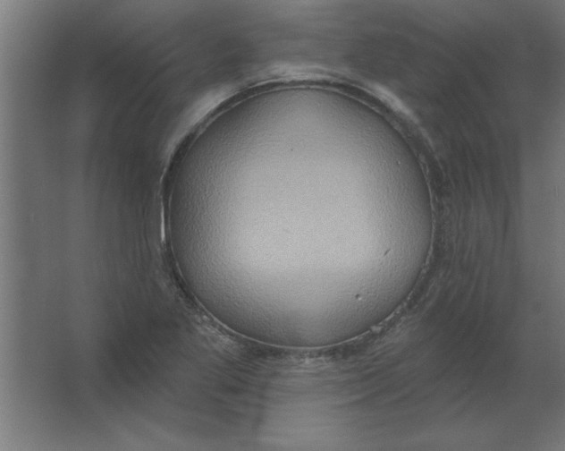 X0000067351269200604211952