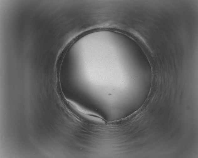 X0000067351270200604211952