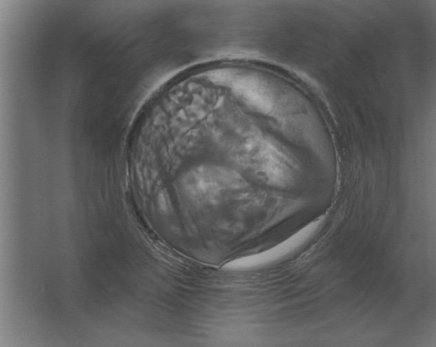 X0000067351271200604211952