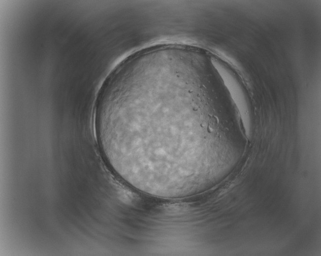 X0000067351272200604211952