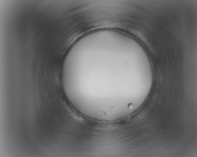 X0000067351273200604211952