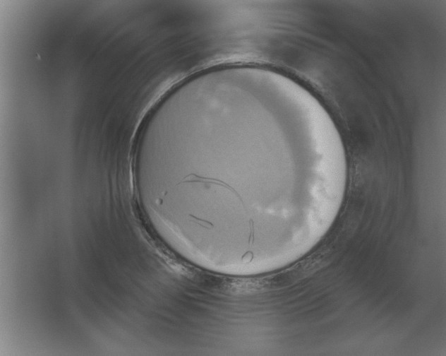 X0000067351274200604211952