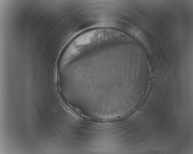 X0000067351276200604211952