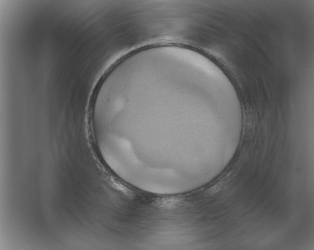 X0000067351278200604211952