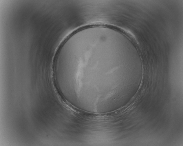 X0000067351279200604211952