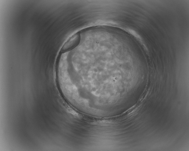 X0000067351280200604211952