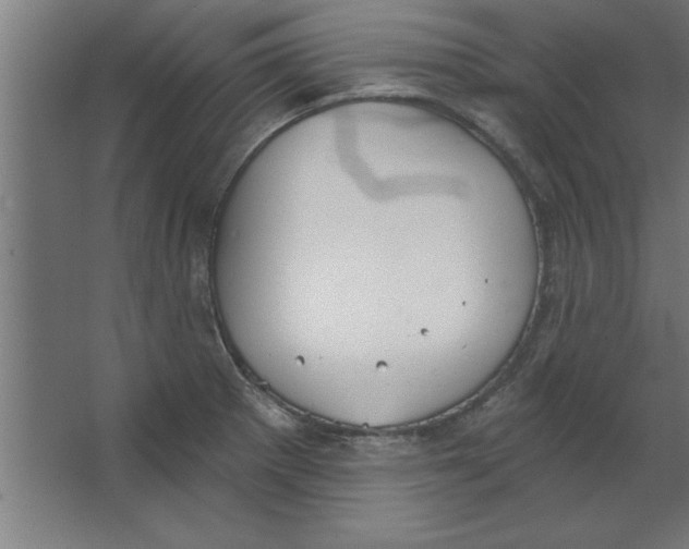 X0000067351281200604211952