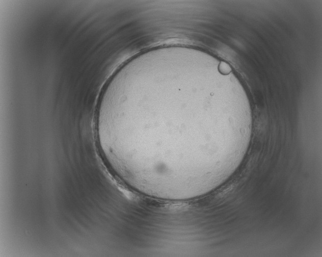 X0000067351282200604211952